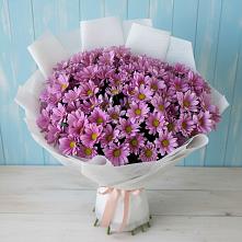 Букет цветов из:  Хризантемы #REPLACE_PRED# Октябрьском Оренбургская область