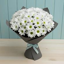 Букет цветов из:  Хризантемы #REPLACE_PRED# Октябрьском Оренбургская область