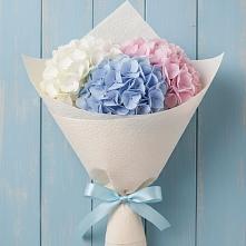 Букет цветов из:  Гортензия в Октябрьском Оренбургская область