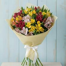 Букет цветов из:  Альстромерии #REPLACE_PRED# Октябрьском Оренбургская область