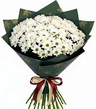 Букет цветов из:  Хризантемы в Октябрьском Оренбургская область