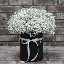 Цветочная композиция из Гипсофила в шляпной коробке в Октябрьском Оренбургская область
