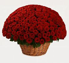 Премиум букет из: Розы в Октябрьском Оренбургская область